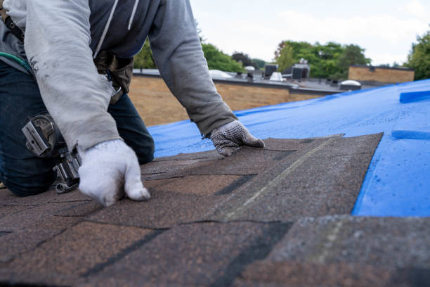 Best Roof Gutter Cleaning  in Paw Paw, MI