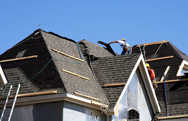 Best Flat Roof Repair Services  in Paw Paw, MI