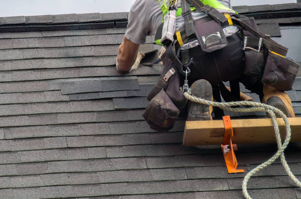 Best New Roof Installation  in Paw Paw, MI