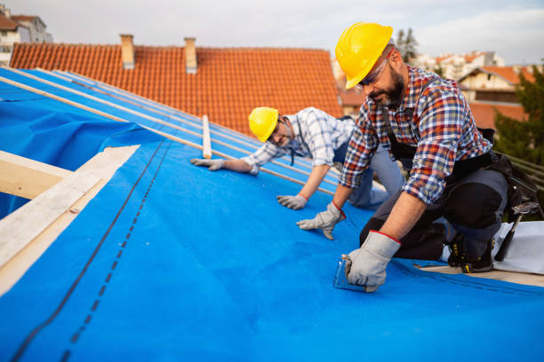 Best Roof Leak Repair  in Paw Paw, MI