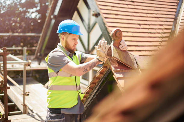 Best Roof Repair Specialists  in Paw Paw, MI