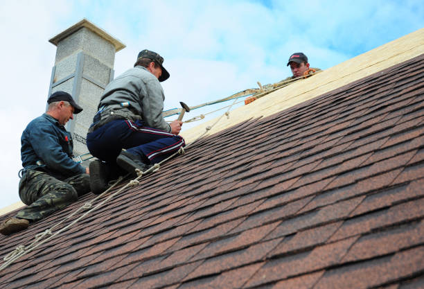 Best Roof Maintenance Services  in Paw Paw, MI
