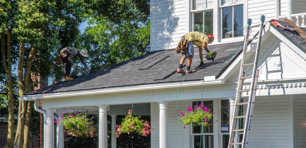 Best Roof Repair Services  in Paw Paw, MI