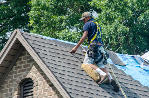 Best Shingle Roofing Installation  in Paw Paw, MI