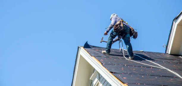 Best Commercial Roofing Services  in Paw Paw, MI